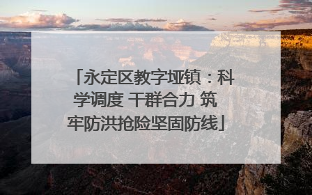 永定区教字垭镇：科学调度 干群合力 筑牢防洪抢险坚固防线